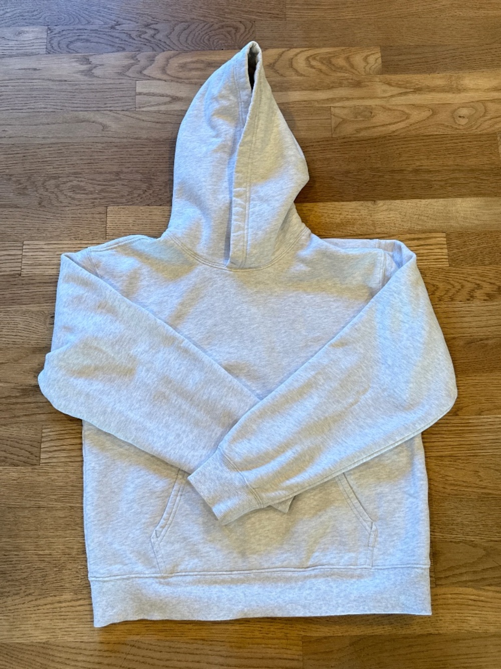 ARITZIA sweat fleece light grey hoodie